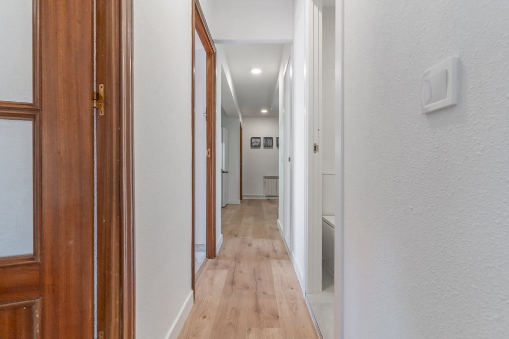 Comfortable room in Avenida San Luis