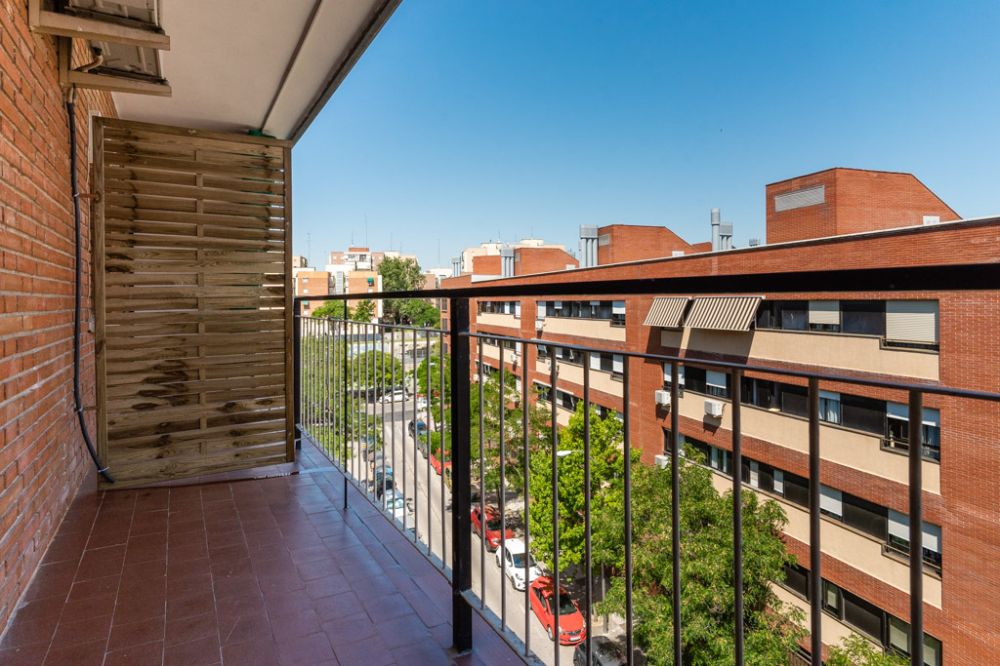 Delightful room in Avenida San Luis
