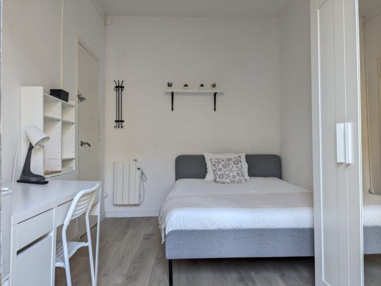 Charming Room in Lavapiés