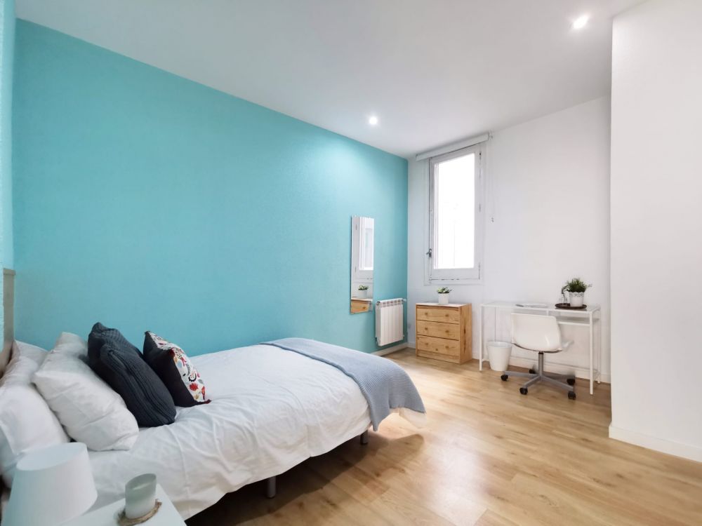Spacious double room in the centre of Madrid