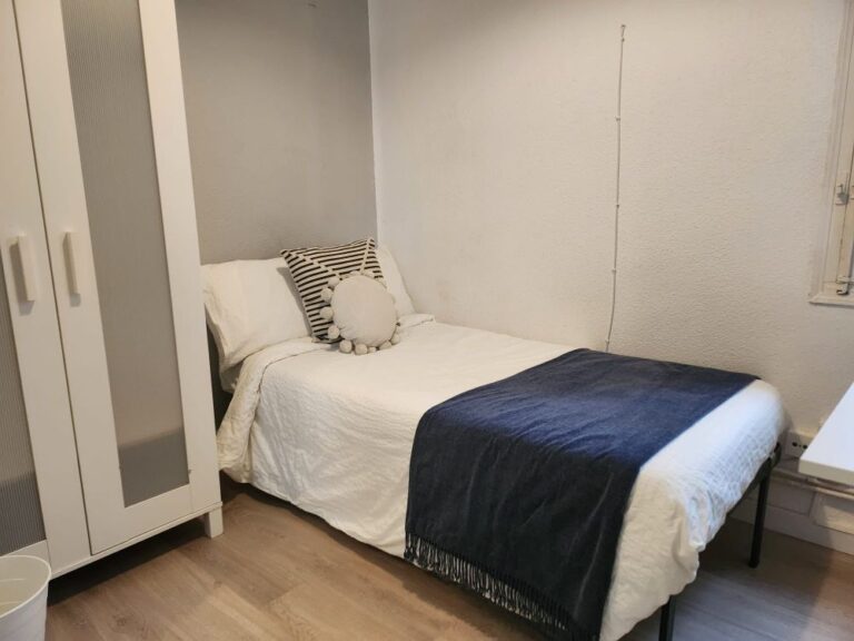 Sensational room in Embajadores