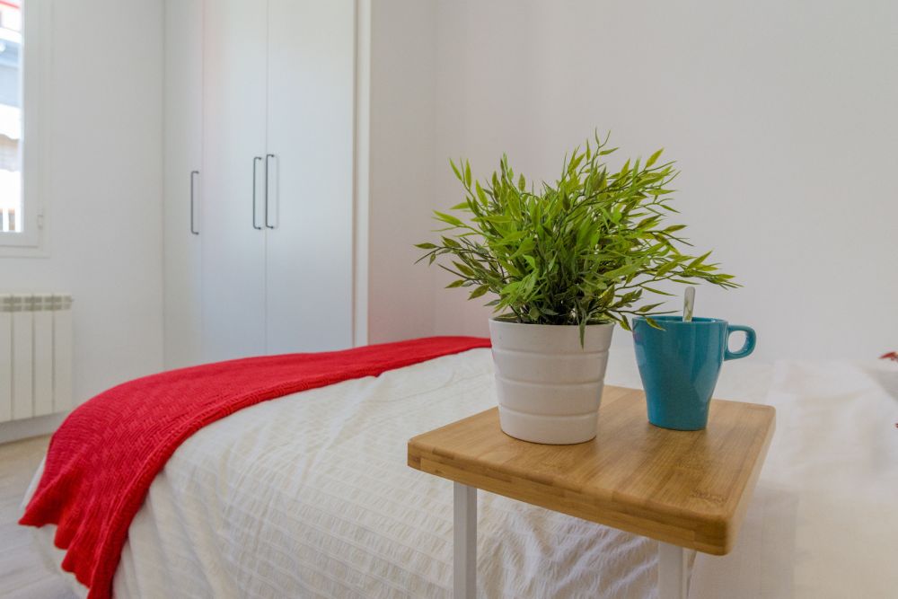 Beautiful exterior room in Mesón de Paredes