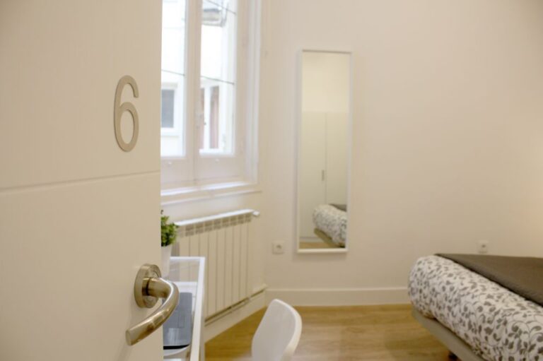 Charming double room in the centre of Madrid