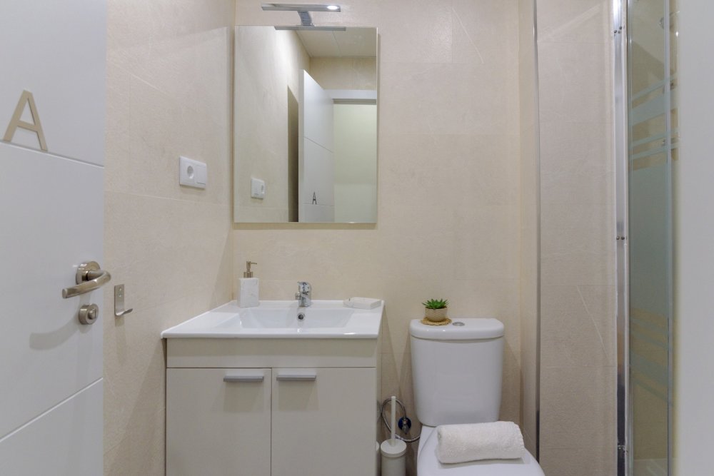 Room with private bathroom in Madrid