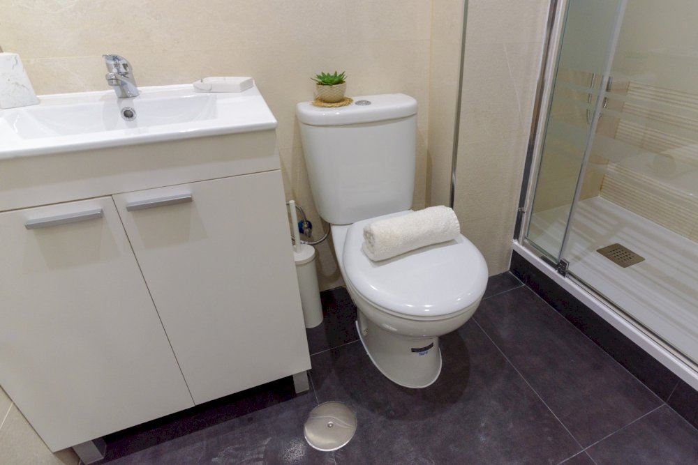 Room with private bathroom in Madrid