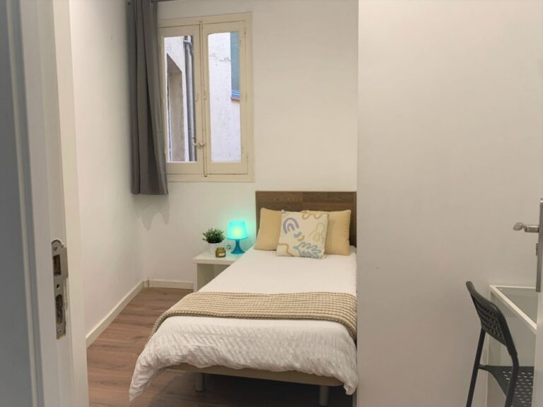 Charming individual room in Lavapiés