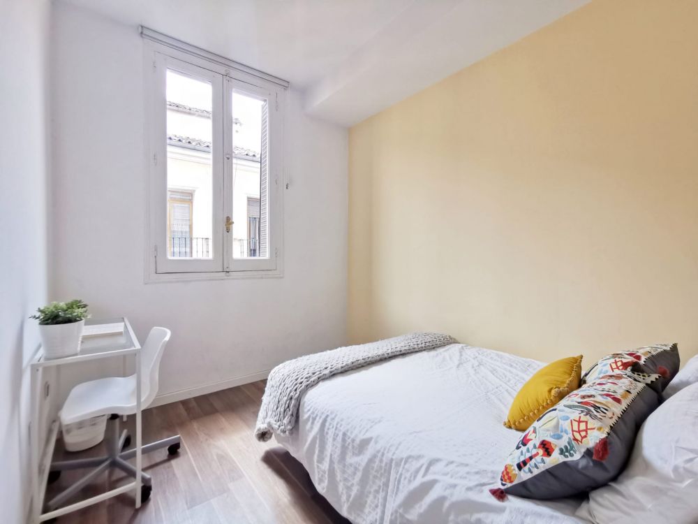 Cozy room in Valencia Street, Madrid