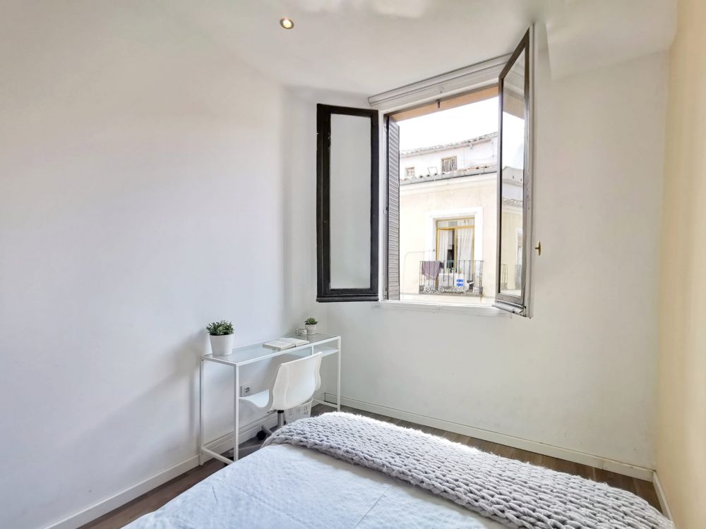 Cozy room in Valencia Street, Madrid