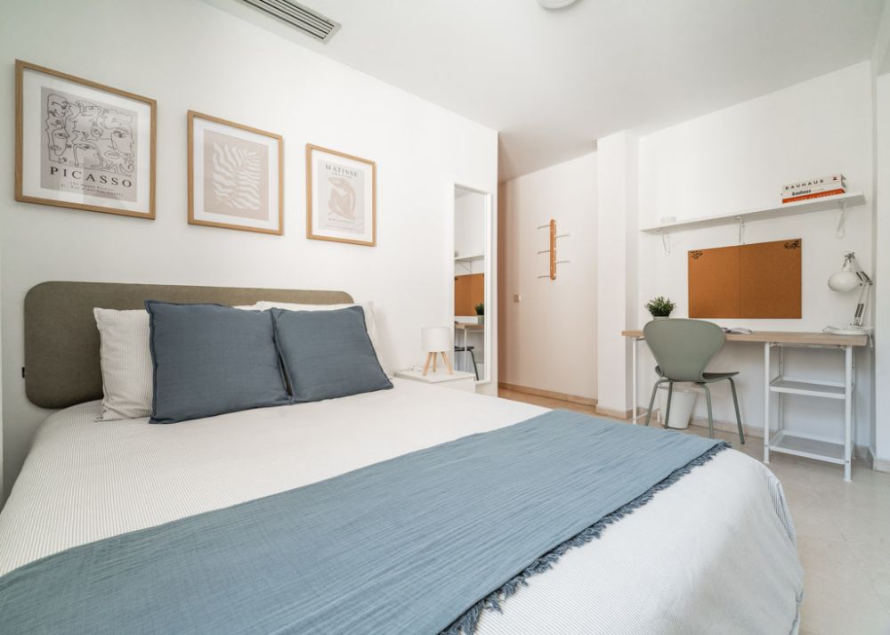 Great modern room in Bordadores